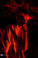 _MDV4391