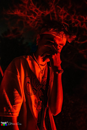 _MDV4391